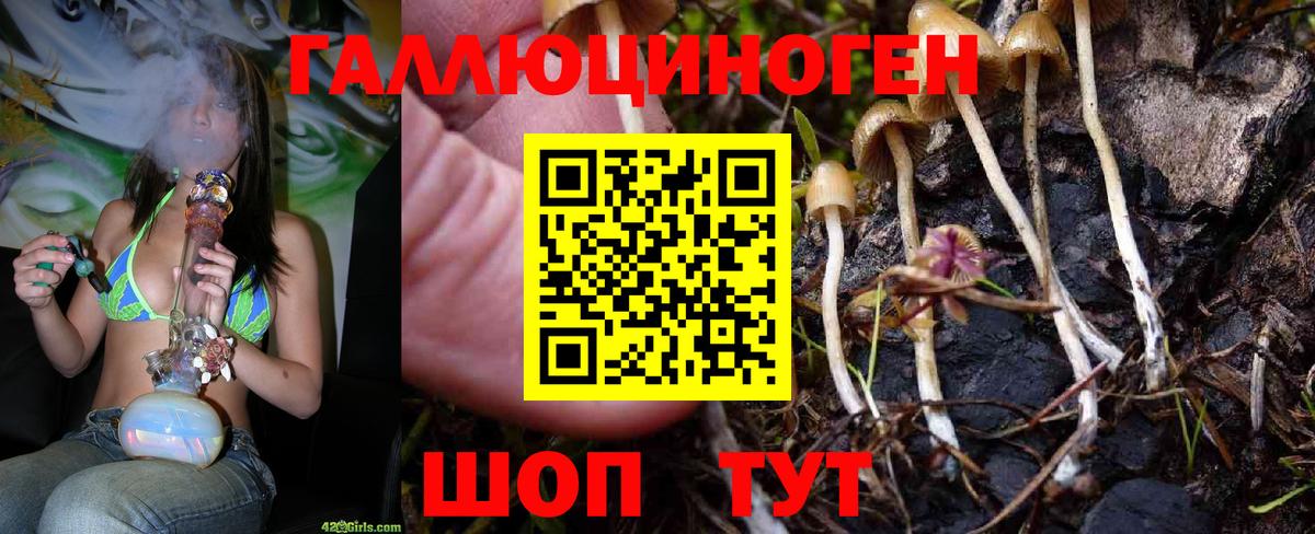 Галлюциногенные грибы прущие грибы Сокол